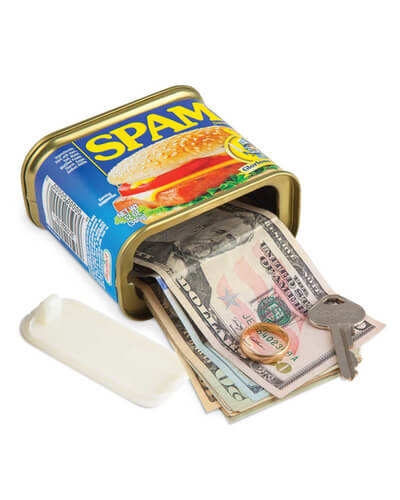 Spam Stash Can Security Container - 12oz image 2